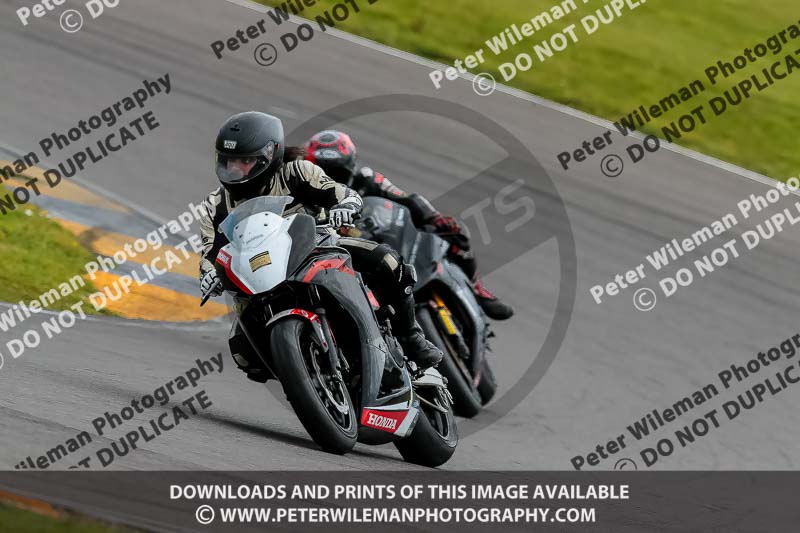 PJ Motorsport 2019;anglesey no limits trackday;anglesey photographs;anglesey trackday photographs;enduro digital images;event digital images;eventdigitalimages;no limits trackdays;peter wileman photography;racing digital images;trac mon;trackday digital images;trackday photos;ty croes